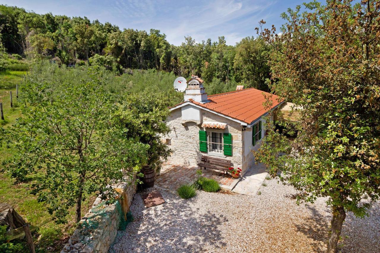 Roinizza In Prtlog Labin (Istria) Exterior foto