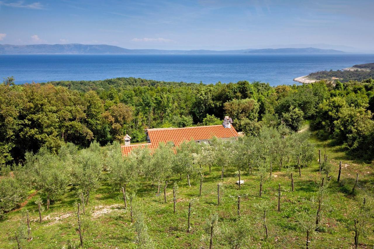 Roinizza In Prtlog Labin (Istria) Exterior foto